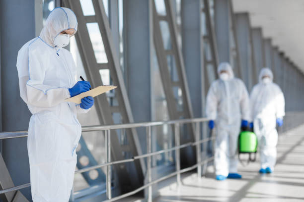 Derwood, MD Mold Removal Company