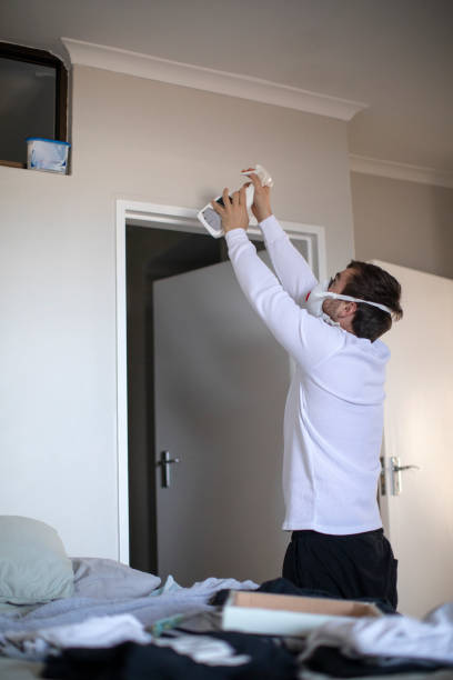 Best Asbestos and Lead Testing During Mold Inspection  in Derwood, MD