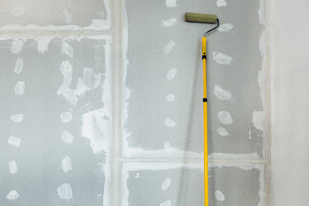 Best Biohazard Mold Removal  in Derwood, MD
