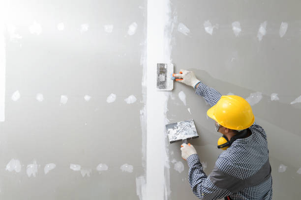 Best Mold Removal for HVAC Installations  in Derwood, MD