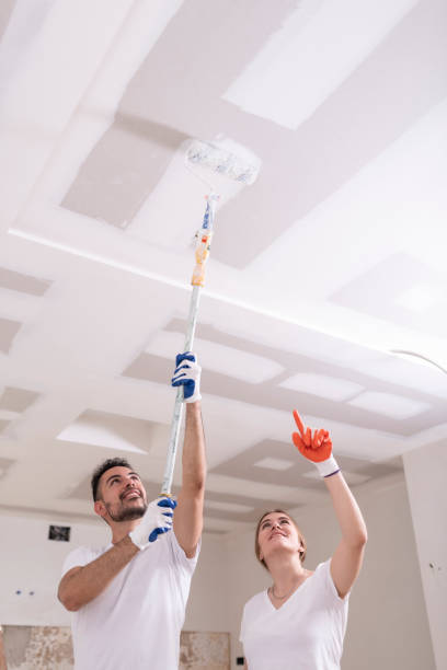  Derwood, MD Mold Removal Pros