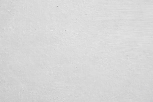Best Basement Mold Removal  in Derwood, MD