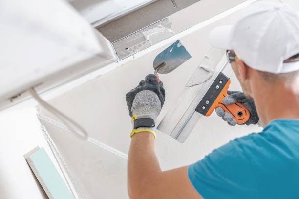 Best Mold Documentation for Insurance Claims  in Derwood, MD